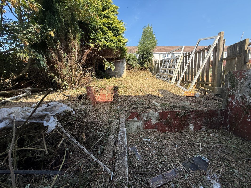 Image 12 of 12