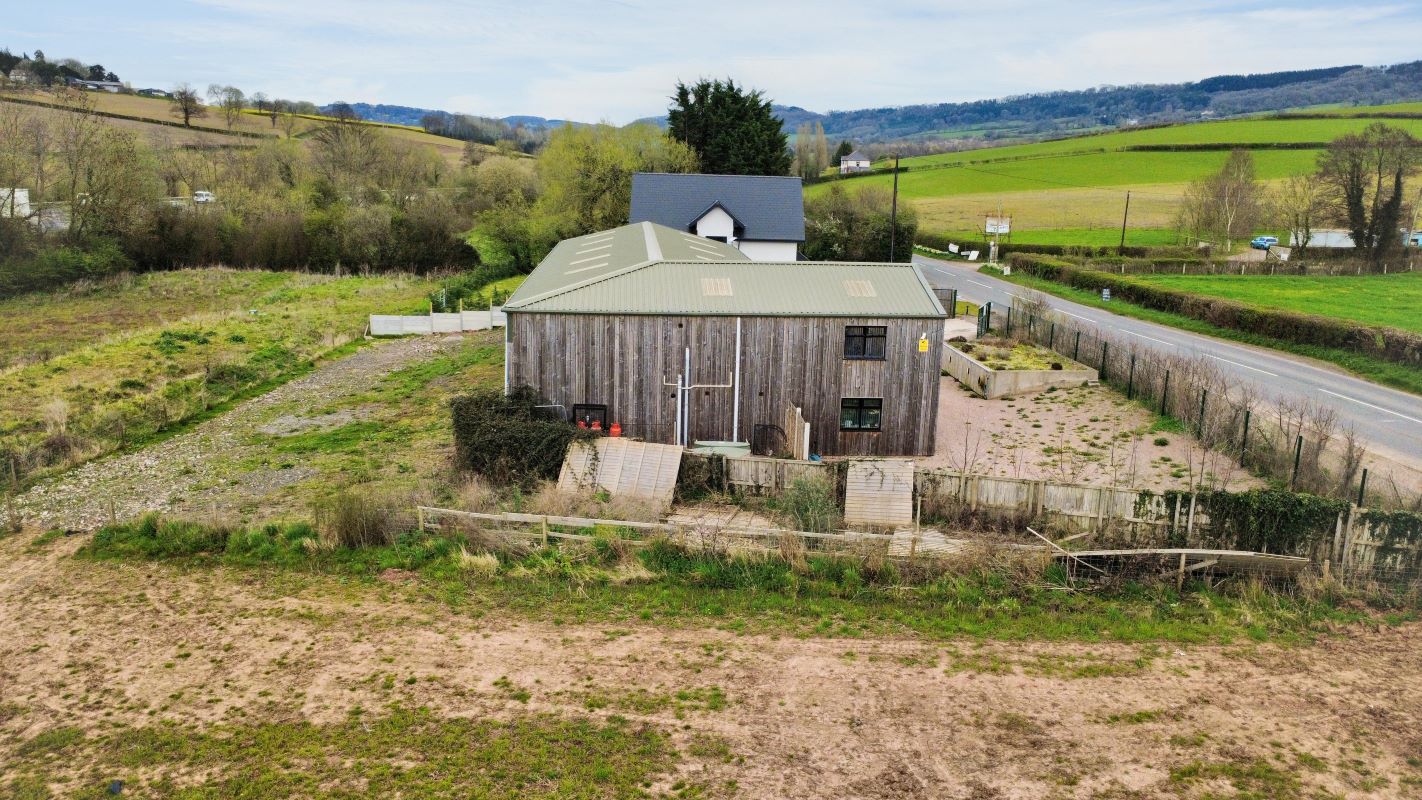 Image 7 of 17