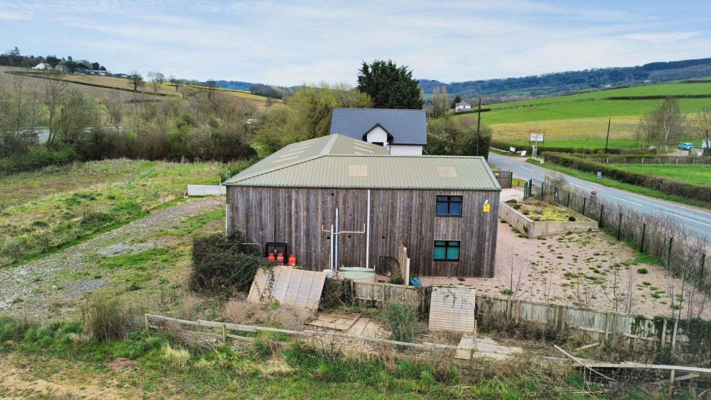 Image 13 of 17