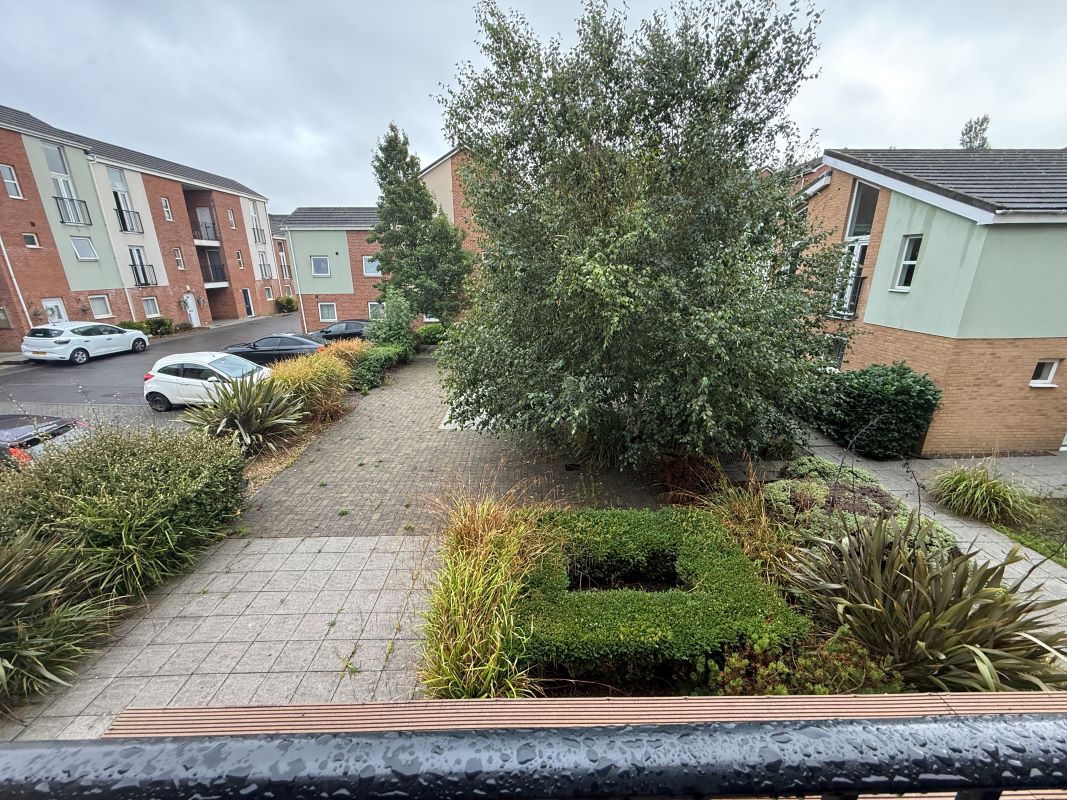 Image 12 of 22