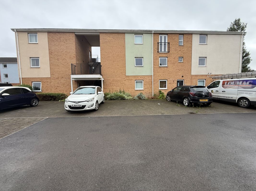 Image 11 of 22