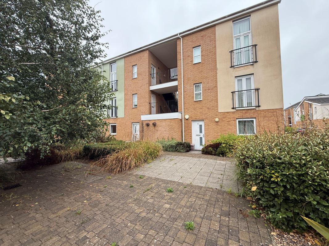 Image 21 of 22
