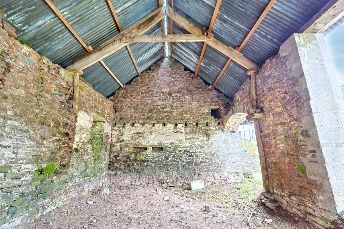 Image 13 of 19