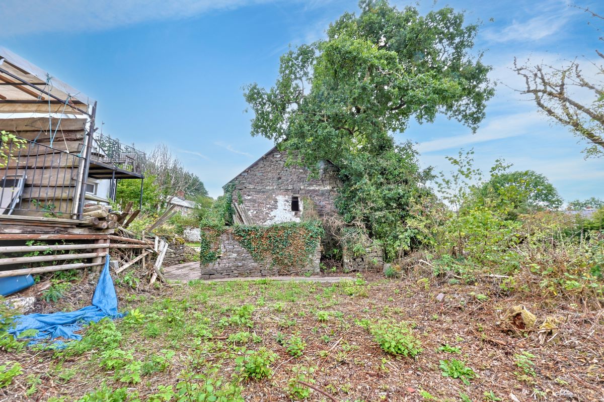 Image 15 of 19