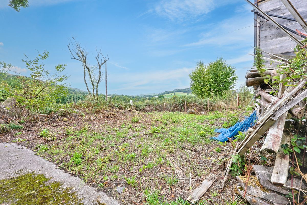 Image 16 of 19
