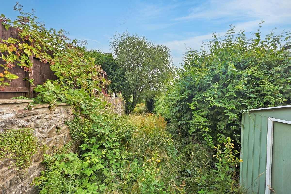Image 11 of 15