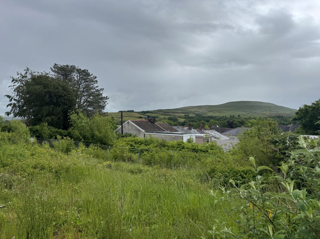 Image 5 of 19