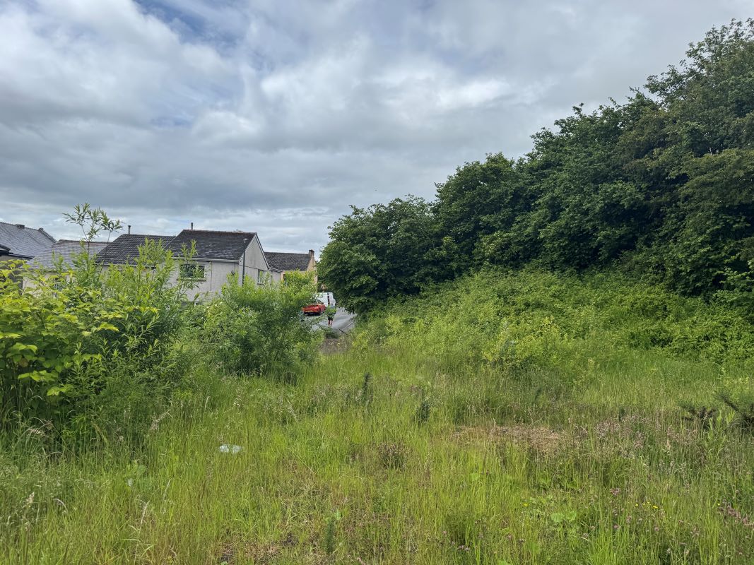 Image 6 of 19