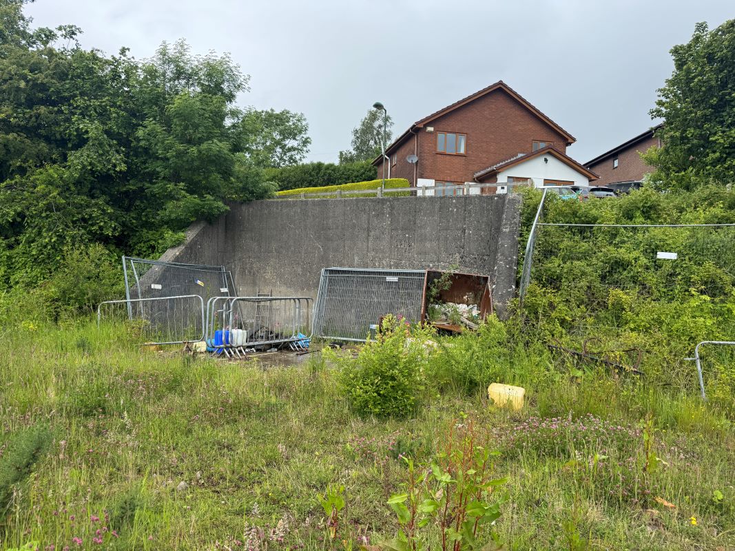 Image 9 of 19