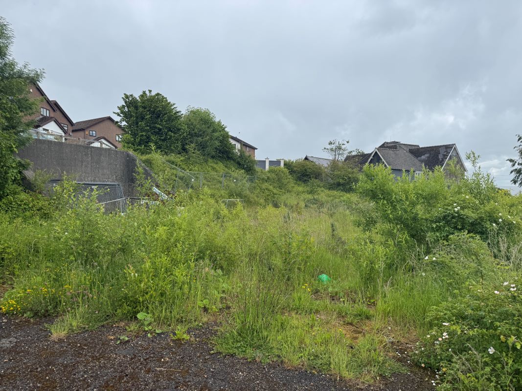 Image 8 of 19