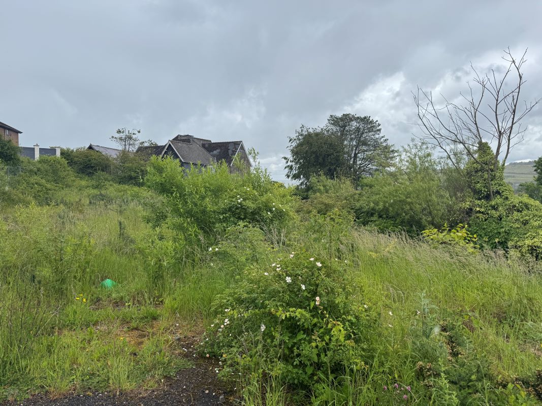Image 7 of 19