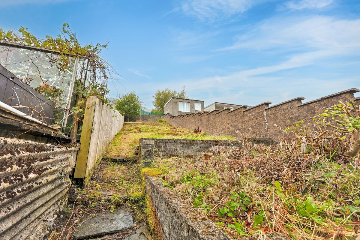 Image 9 of 12