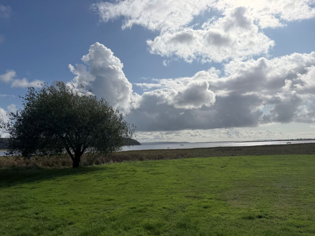 Image 33 of 35
