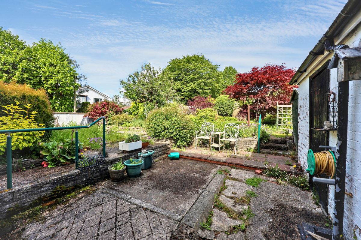 Image 14 of 19