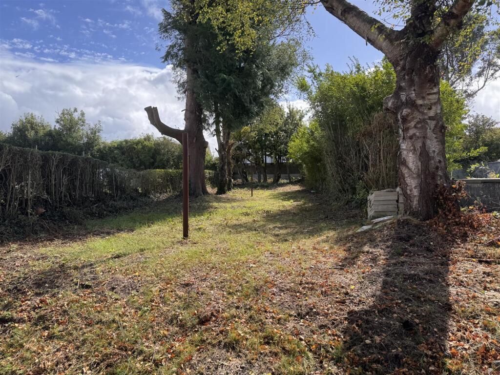 Image 12 of 13