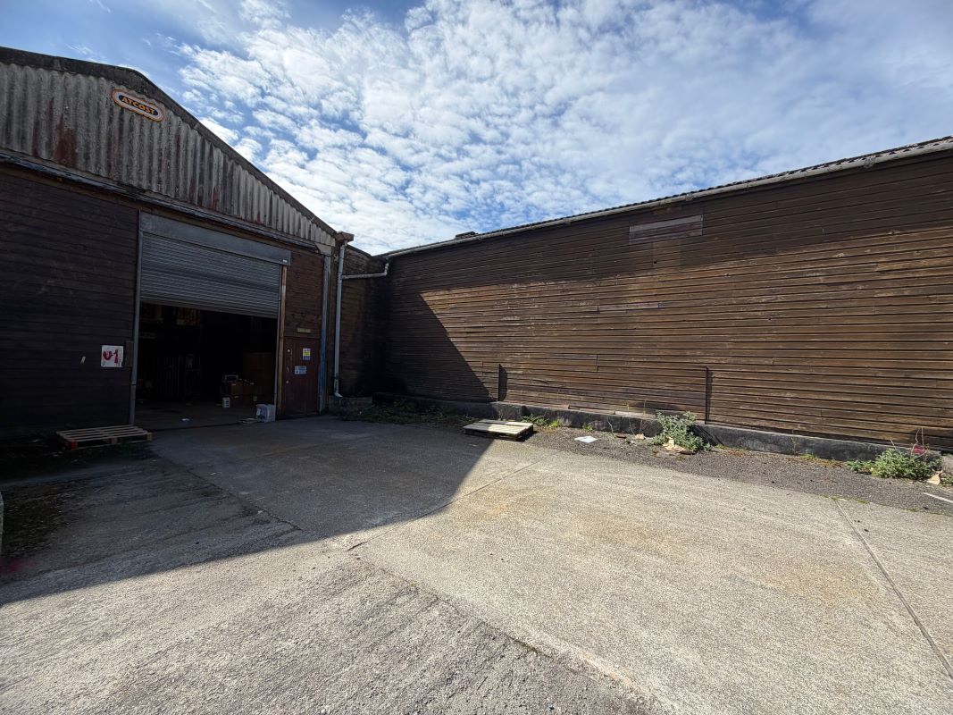 Image 19 of 21