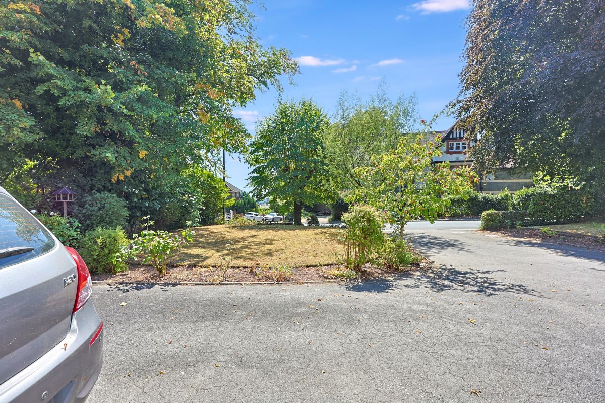 Image 19 of 20