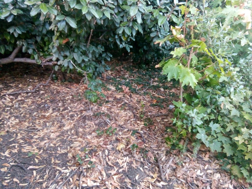 Image 9 of 10