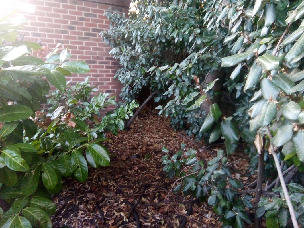 Image 10 of 10