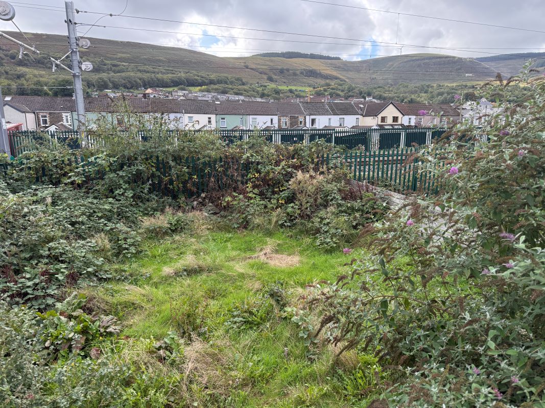 Image 12 of 13