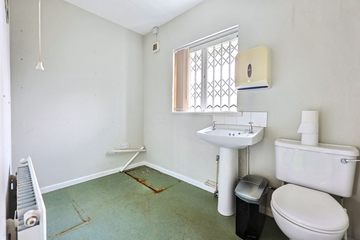 Image 7 of 14