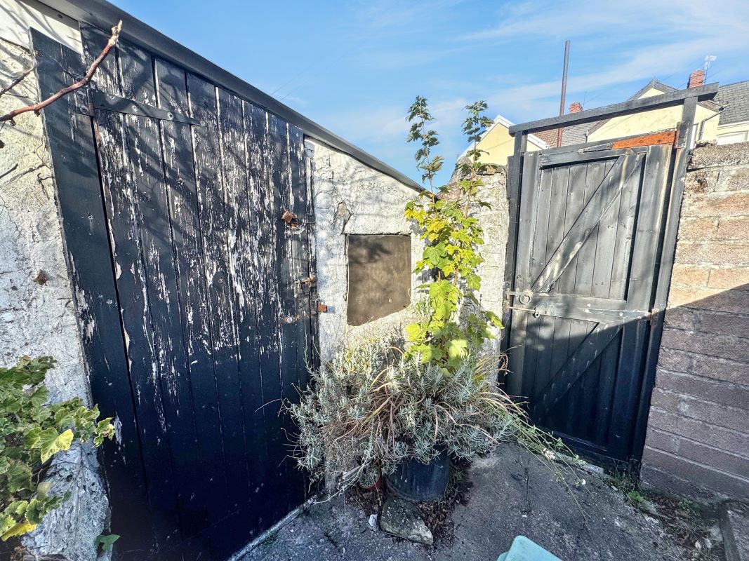 Image 20 of 24