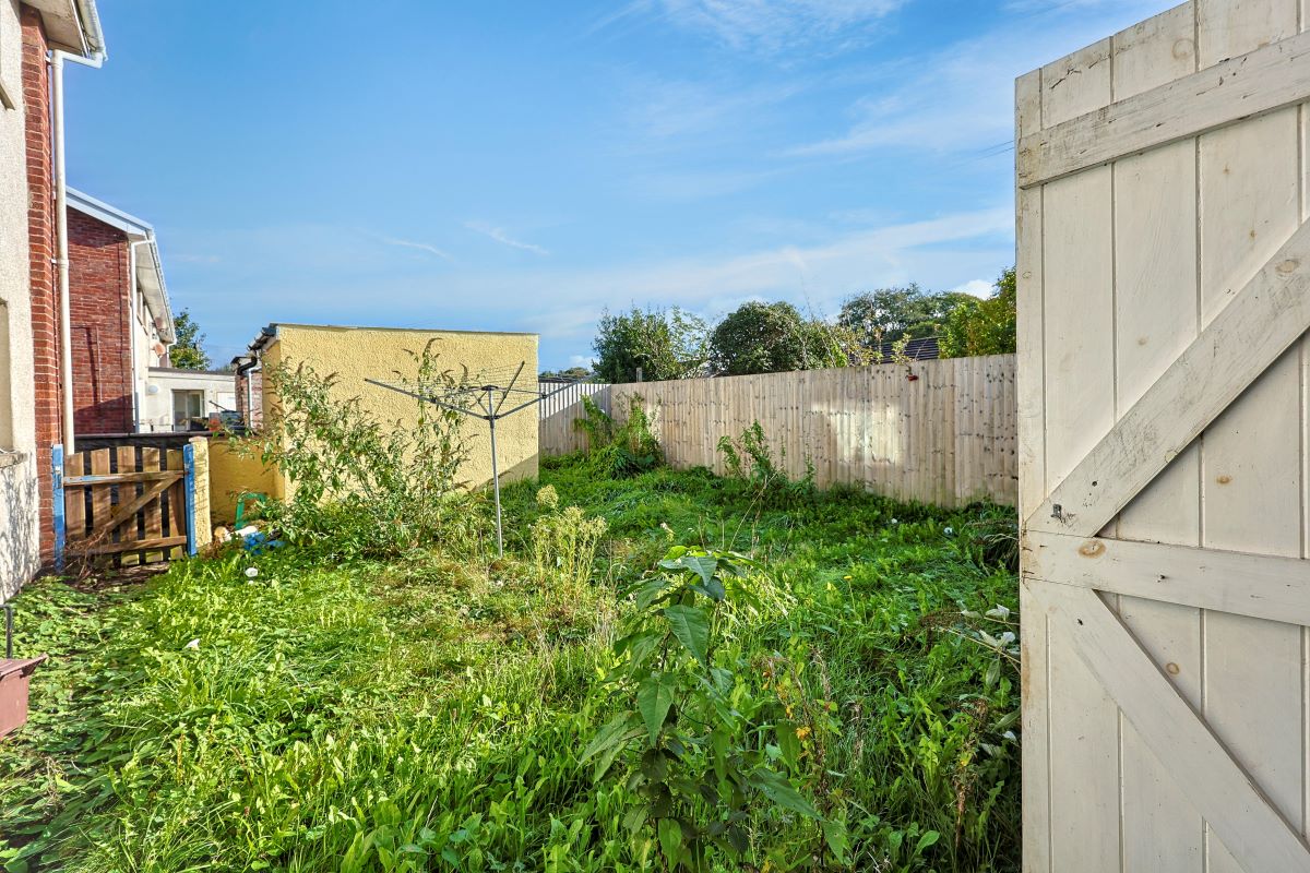 Image 10 of 12