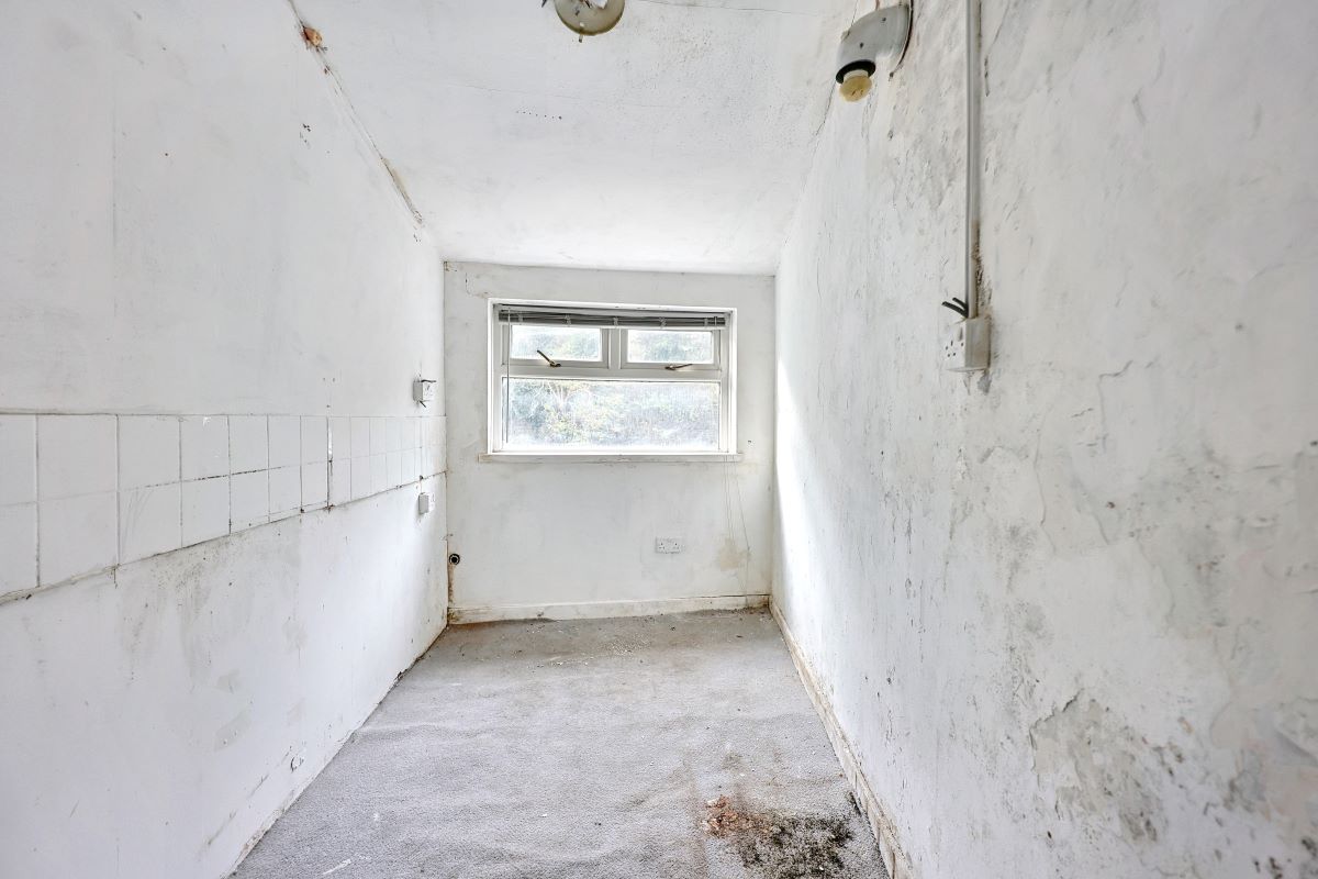 Image 11 of 24