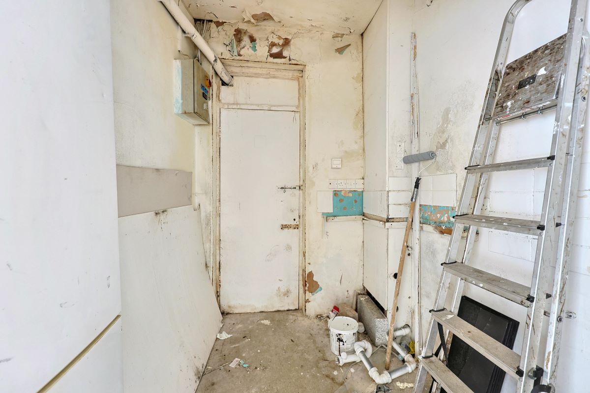 Image 19 of 24