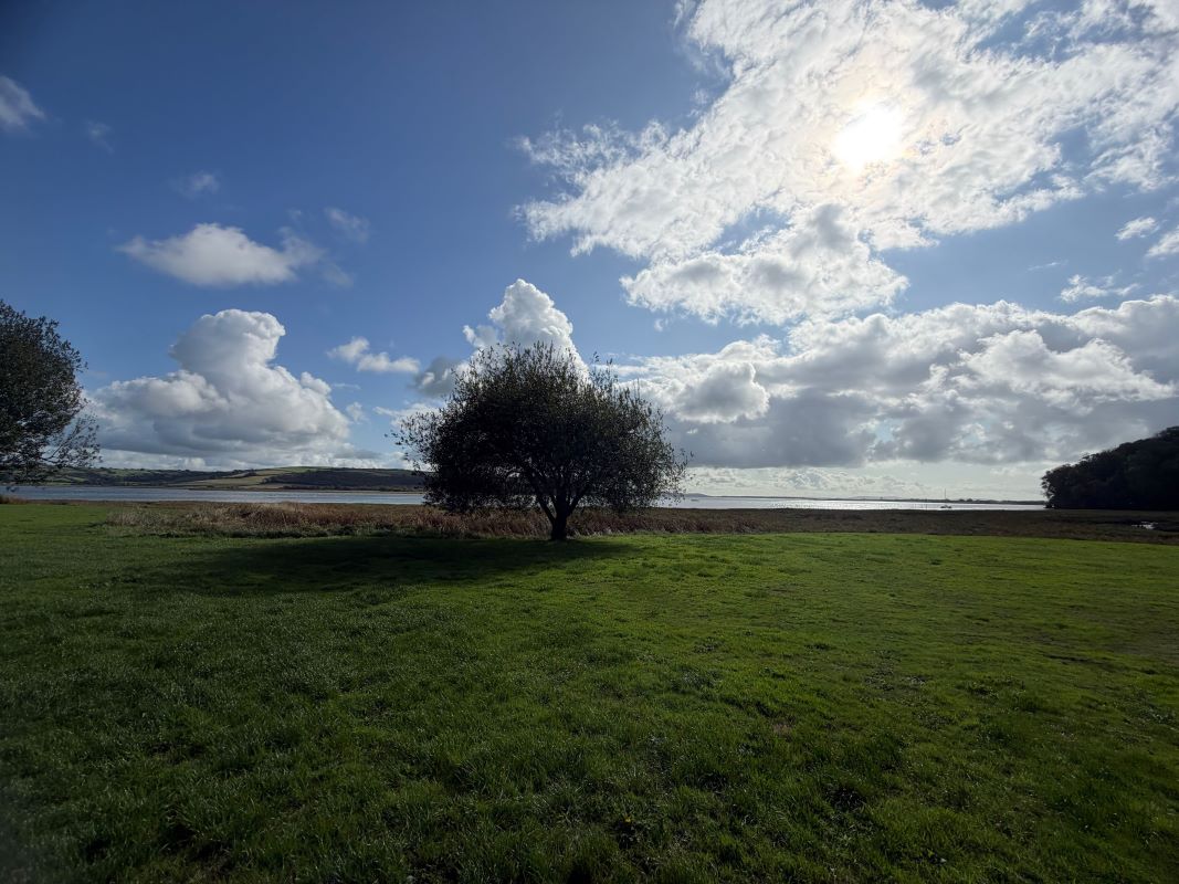 Image 18 of 21