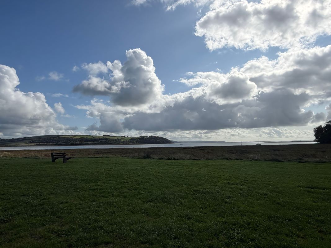 Image 19 of 21
