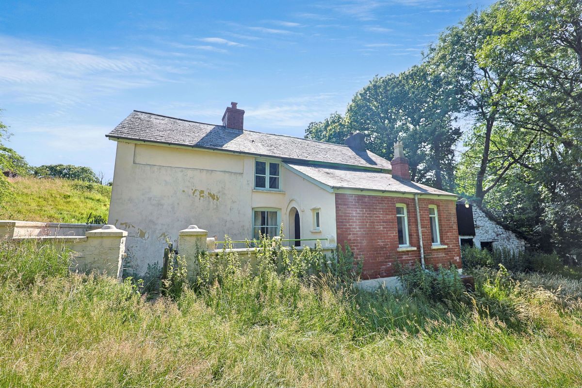 Image 19 of 32