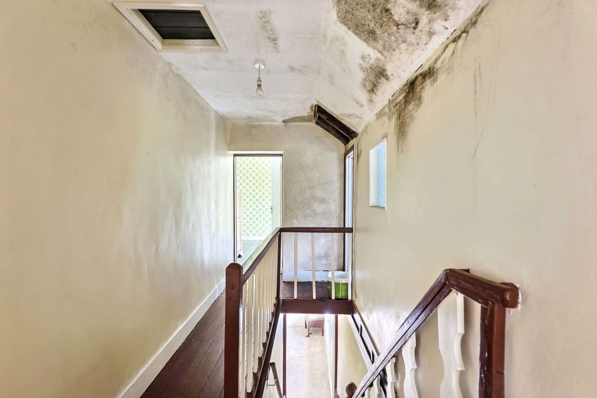 Image 10 of 32