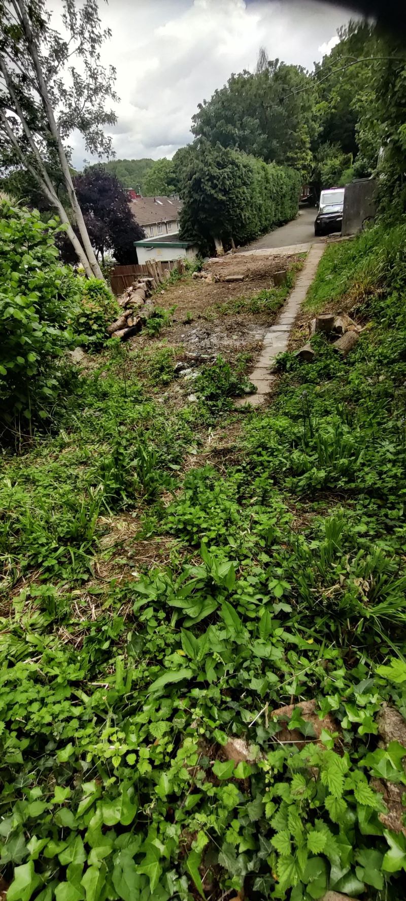 Image 4 of 8