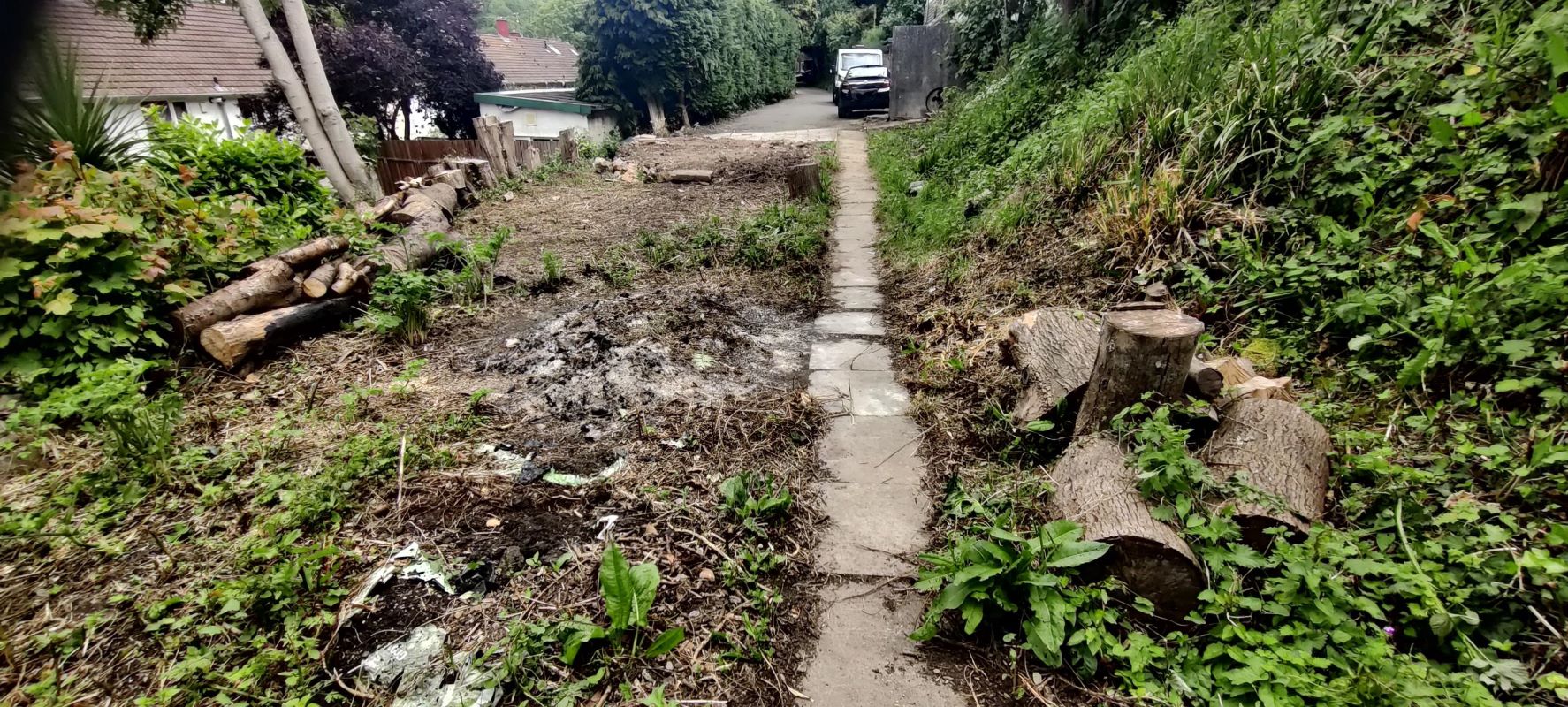 Image 6 of 8