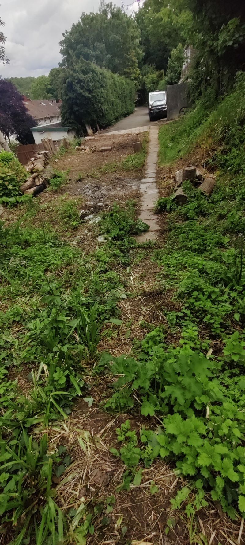 Image 7 of 8