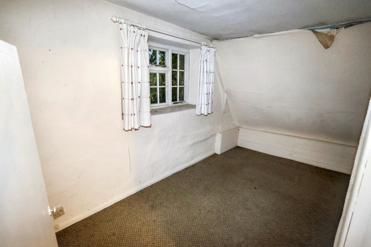 Image 19 of 50