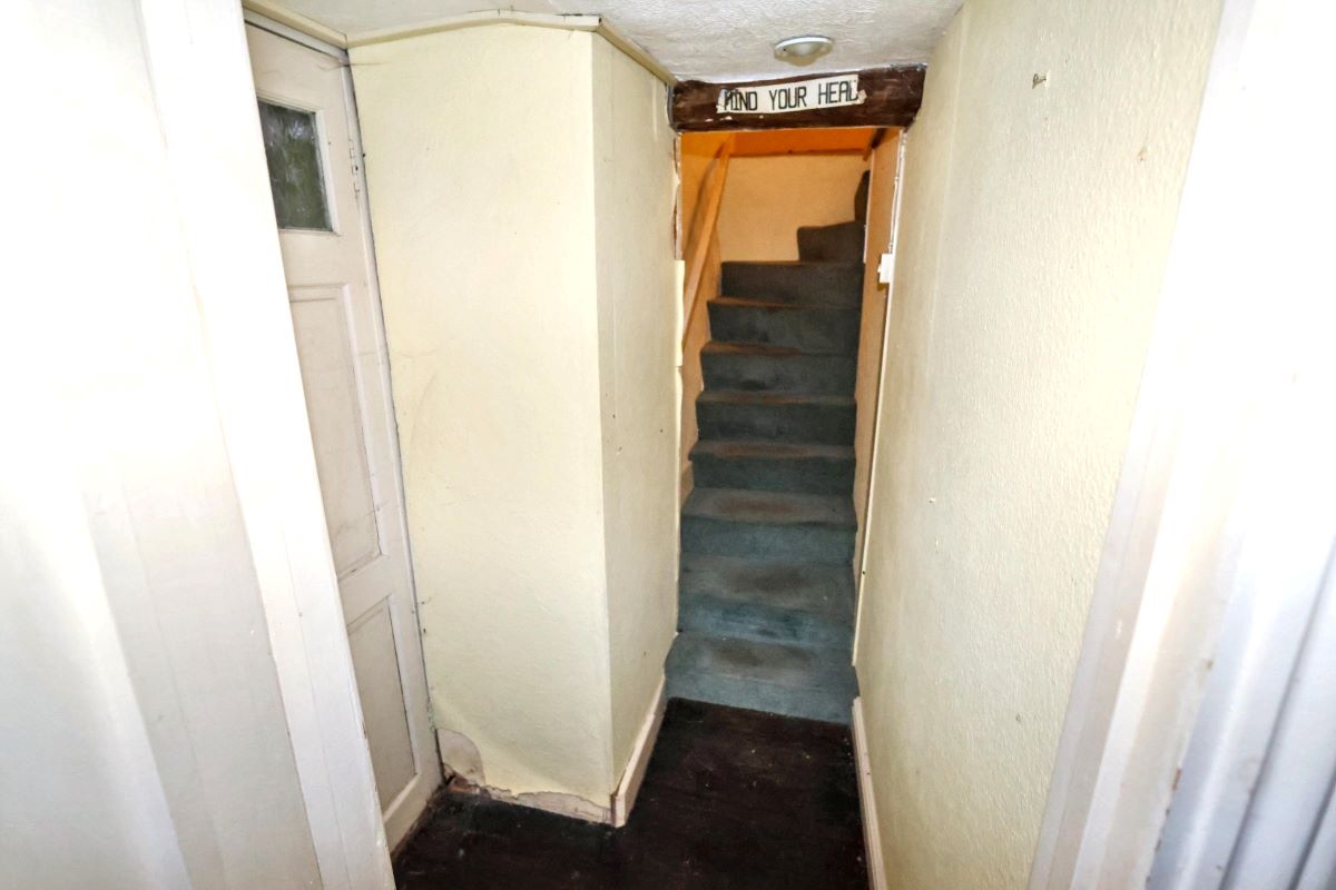 Image 20 of 50