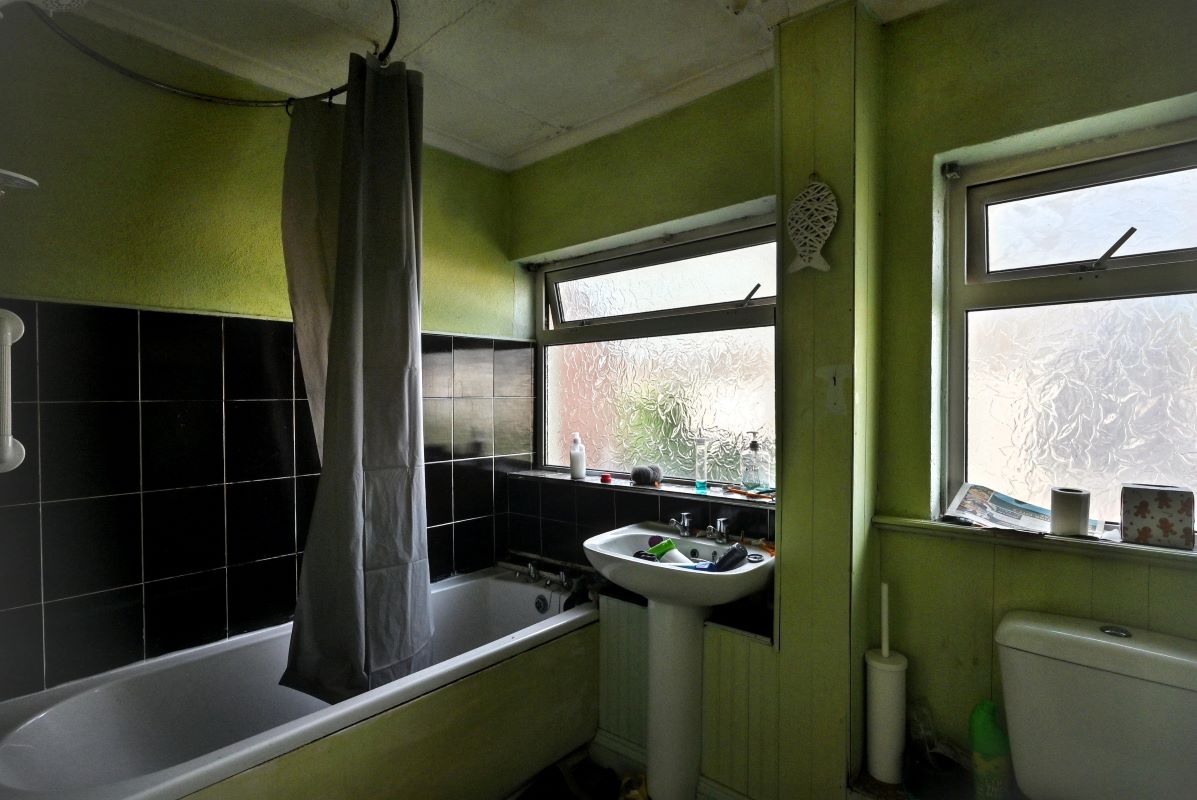 Image 11 of 19