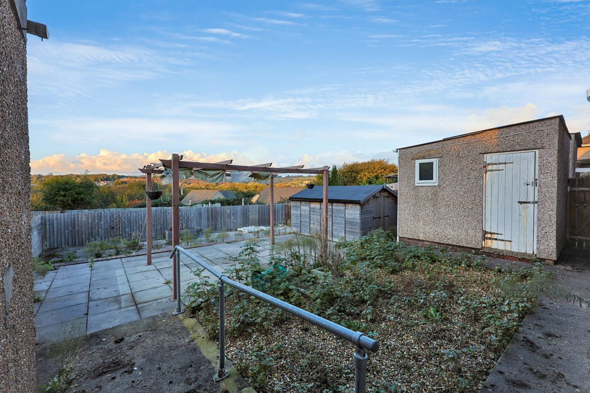 Image 7 of 11