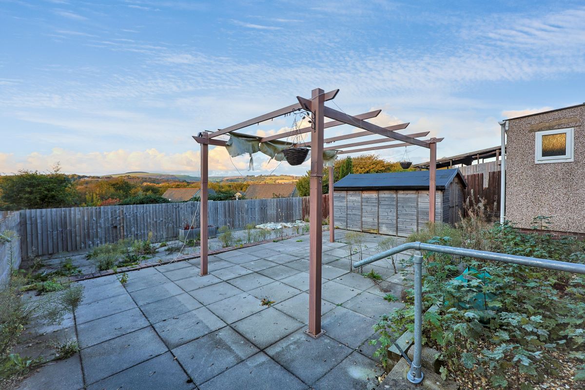 Image 8 of 11