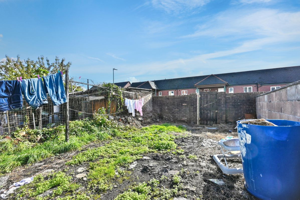 Image 17 of 20