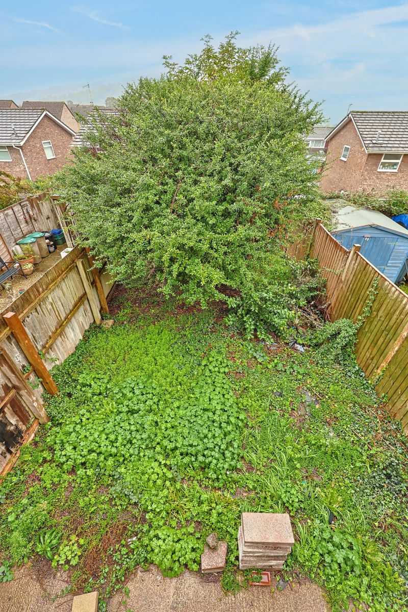 Image 9 of 9