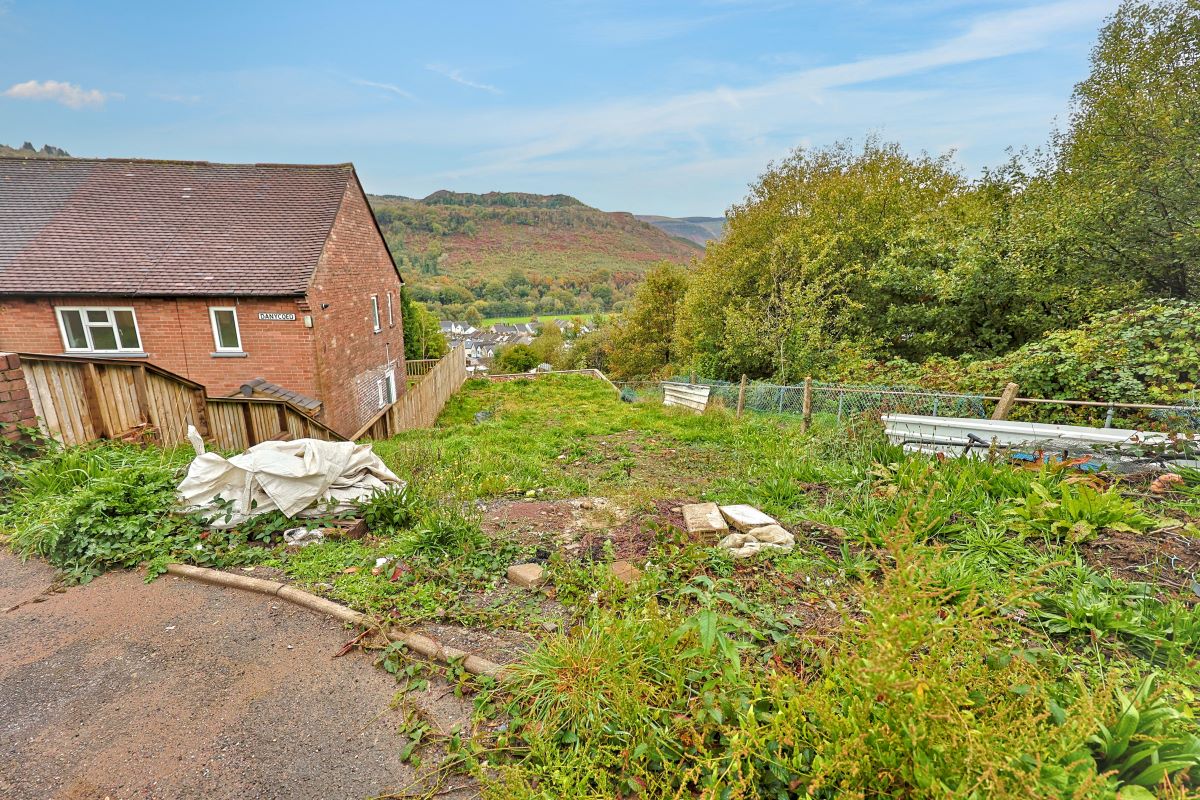 Image 7 of 13