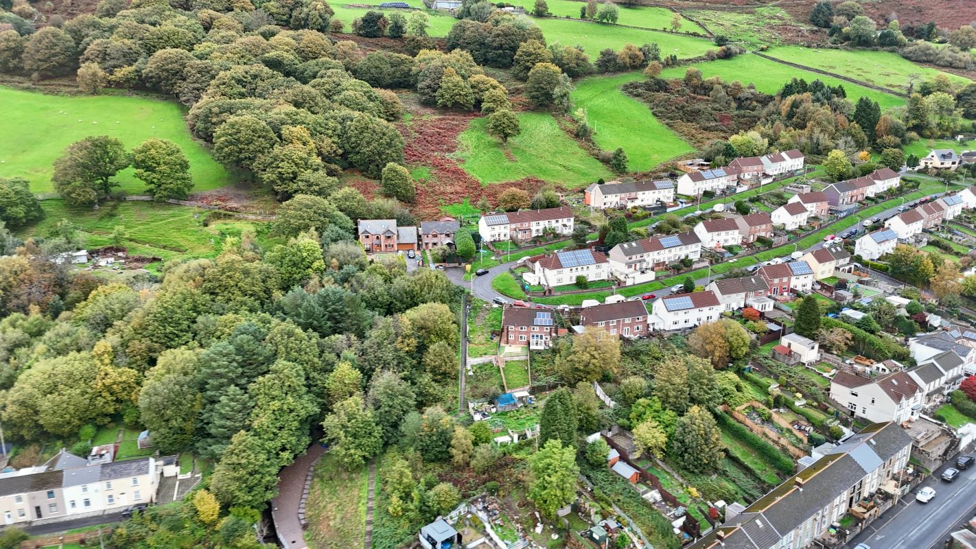 Image 12 of 13