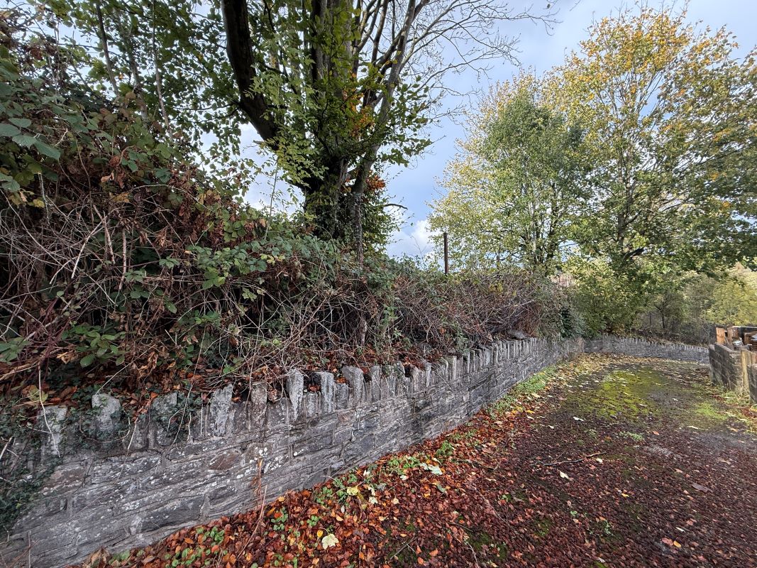 Image 6 of 21