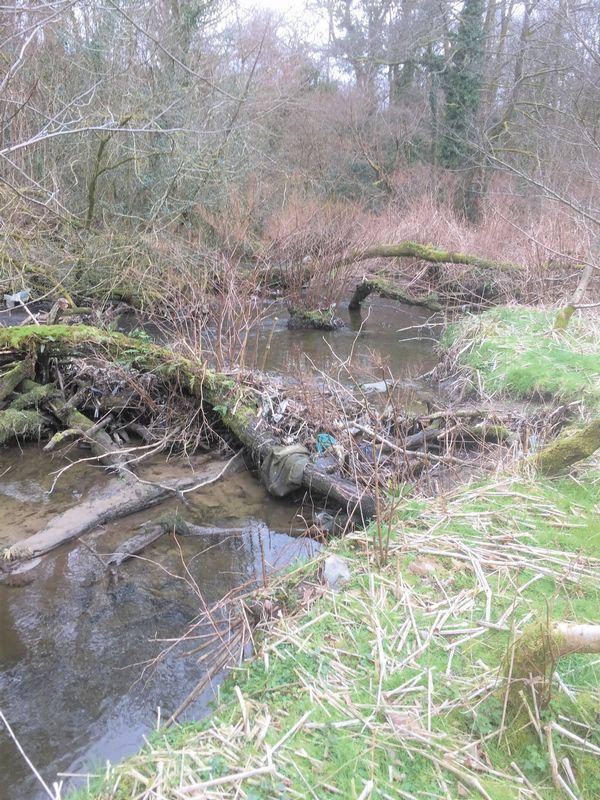 Lot Image