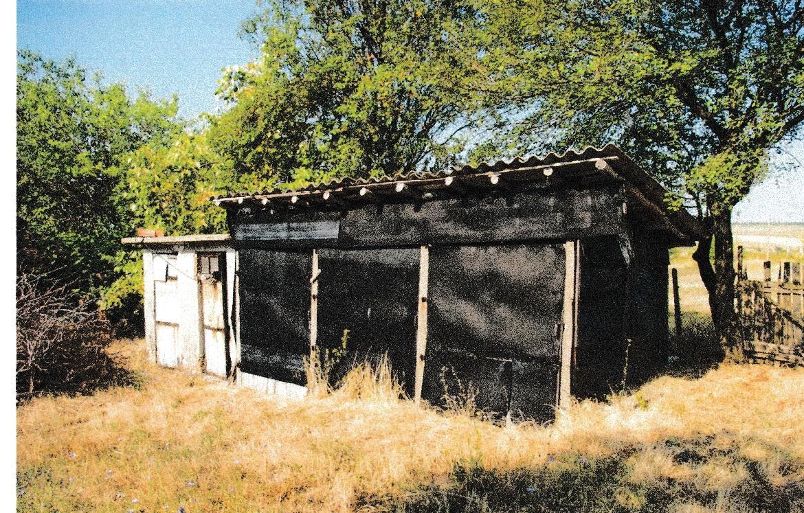 Lot Image