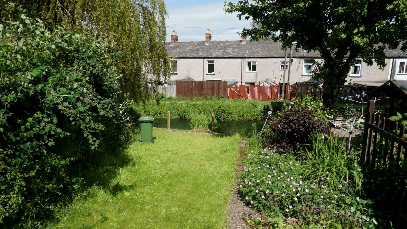 Lot Image