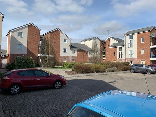 Lot Image